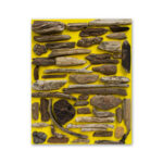 Driftwood pieces arranged on yellow background