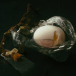 Cracked egg with yolk on dark background